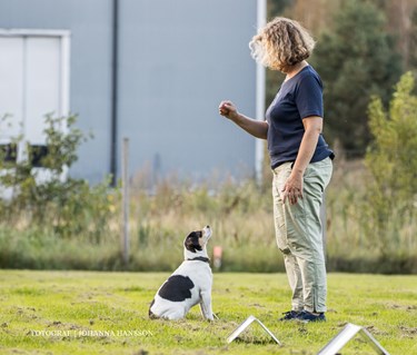Ekipage som tränar rallylydnad.