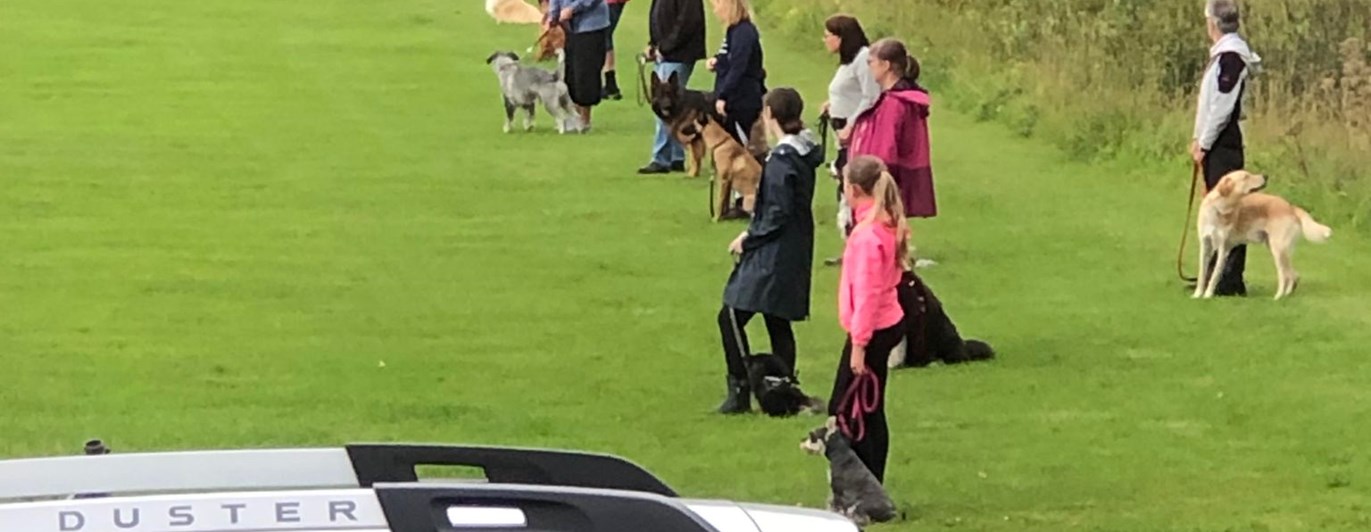 En bild från onsdagsträning.