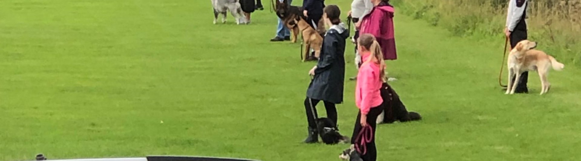 En bild från onsdagsträning.