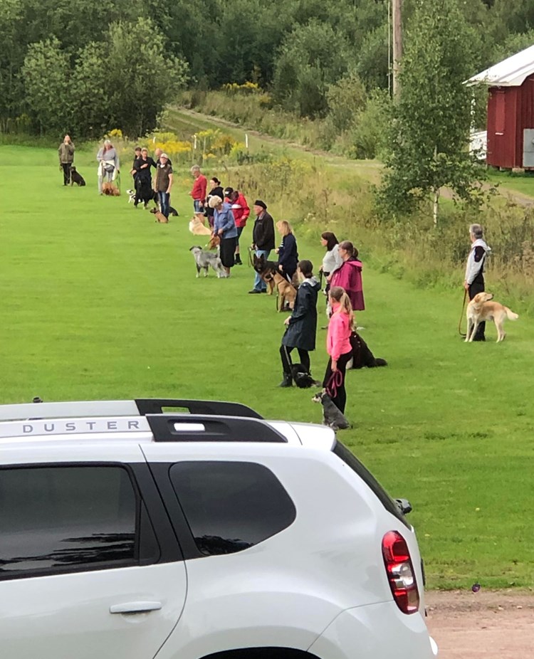 En bild från onsdagsträning.