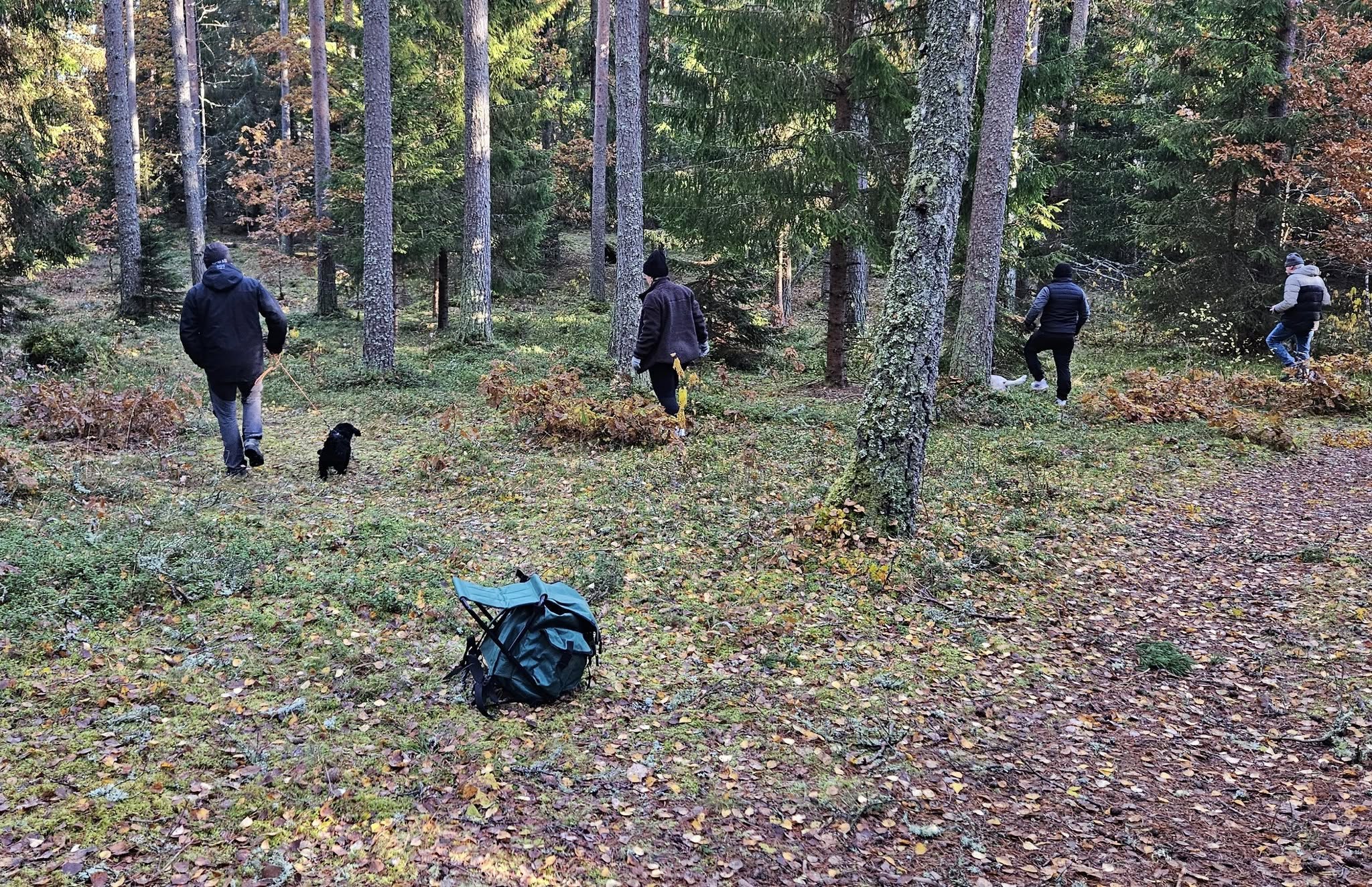 Spårläggning i samband med valpkurs.