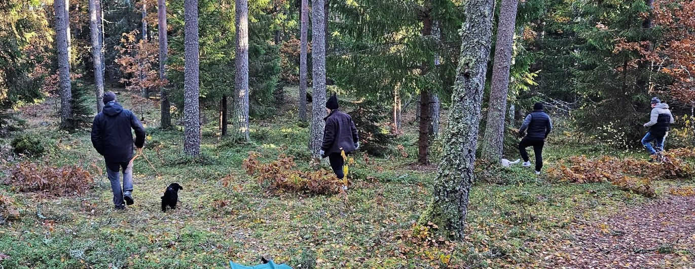 Spårläggning i samband med valpkurs.