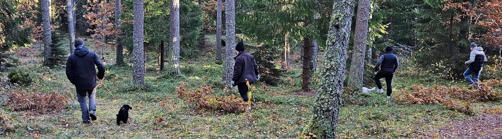 Spårläggning i samband med valpkurs.