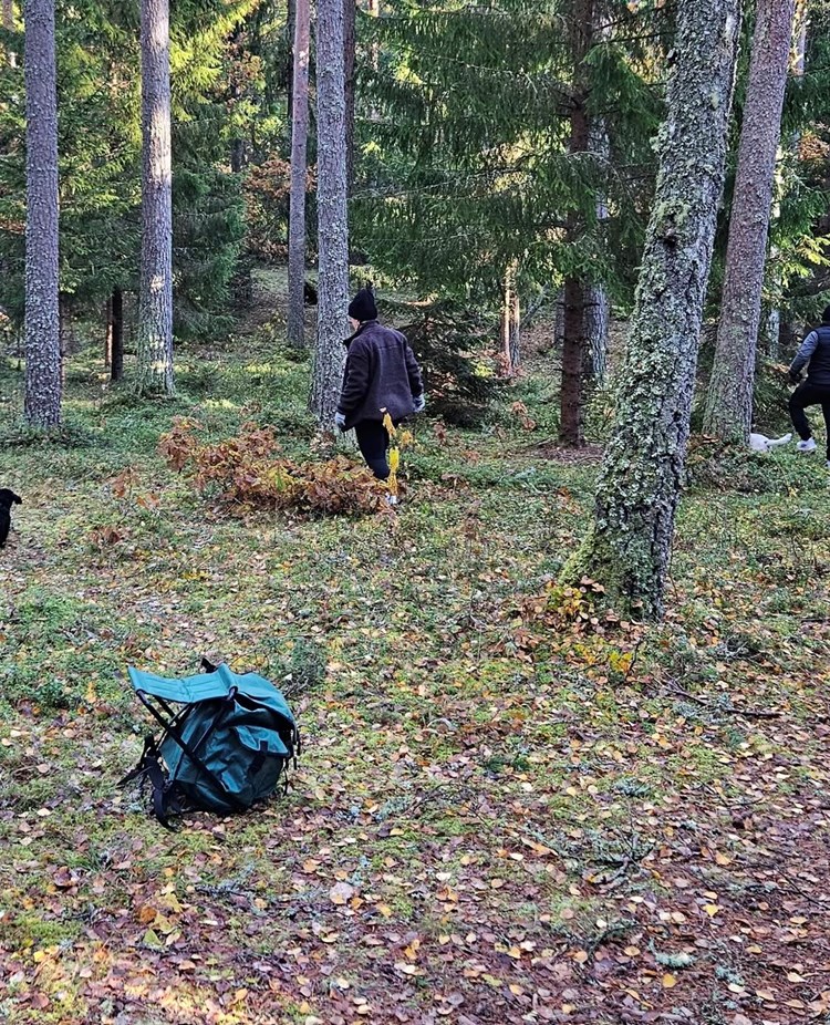 Spårläggning i samband med valpkurs.