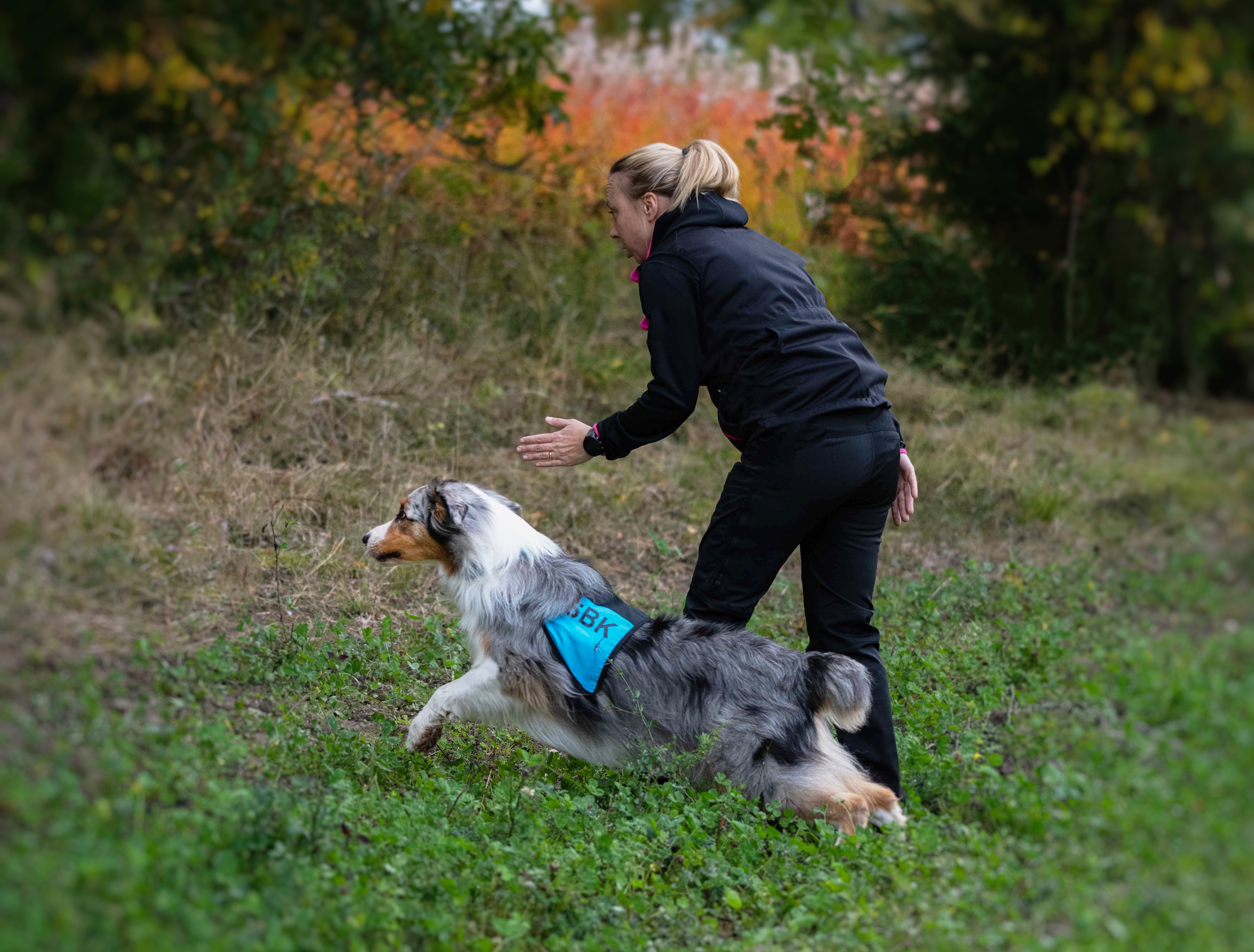 Bild regelbok IPO NS 2023