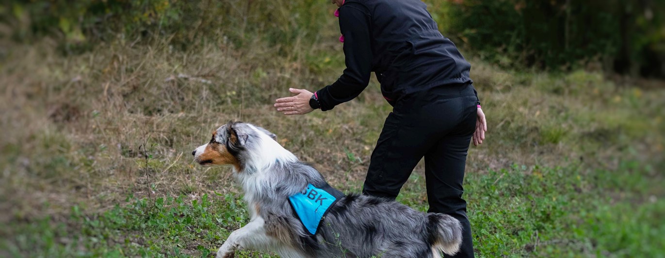 Bild regelbok IPO NS 2023