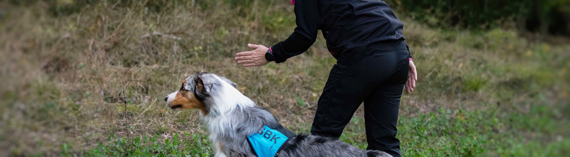 Bild regelbok IPO NS 2023