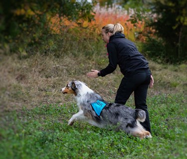 Bild regelbok IPO NS 2023