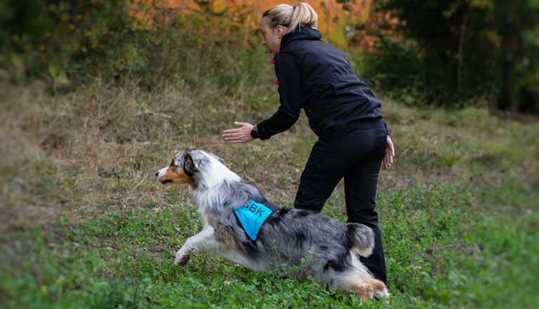 Bild regelbok IPO NS 2023