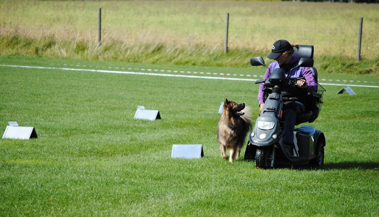 Eurasier på tävling i rallylydnad