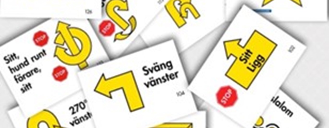 Bild på flera Rallylydnadsskyltar