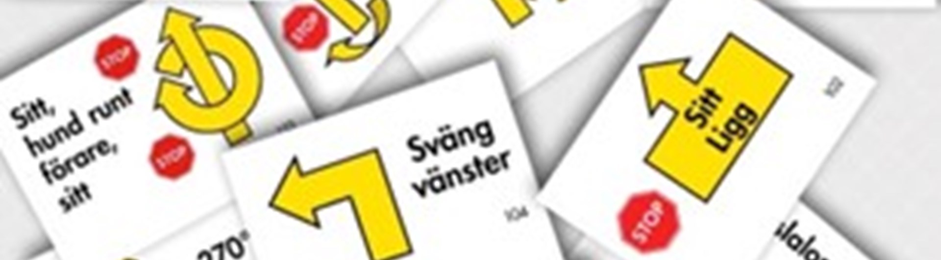 Bild på flera Rallylydnadsskyltar