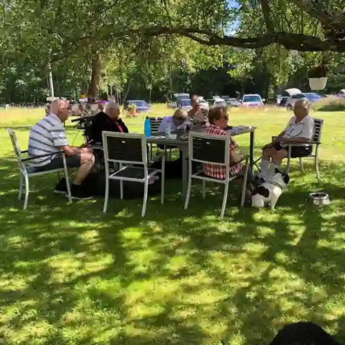 En grupp människor som sitter runt ett bord och fikar i skuggan under ett stort träd