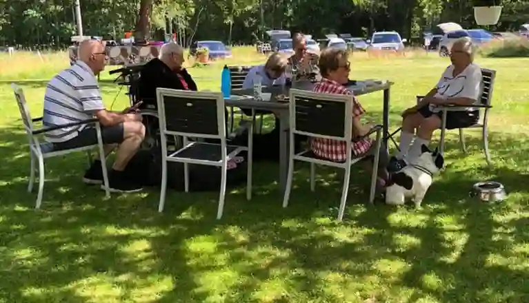 En grupp människor som sitter runt ett bord och fikar i skuggan under ett stort träd
