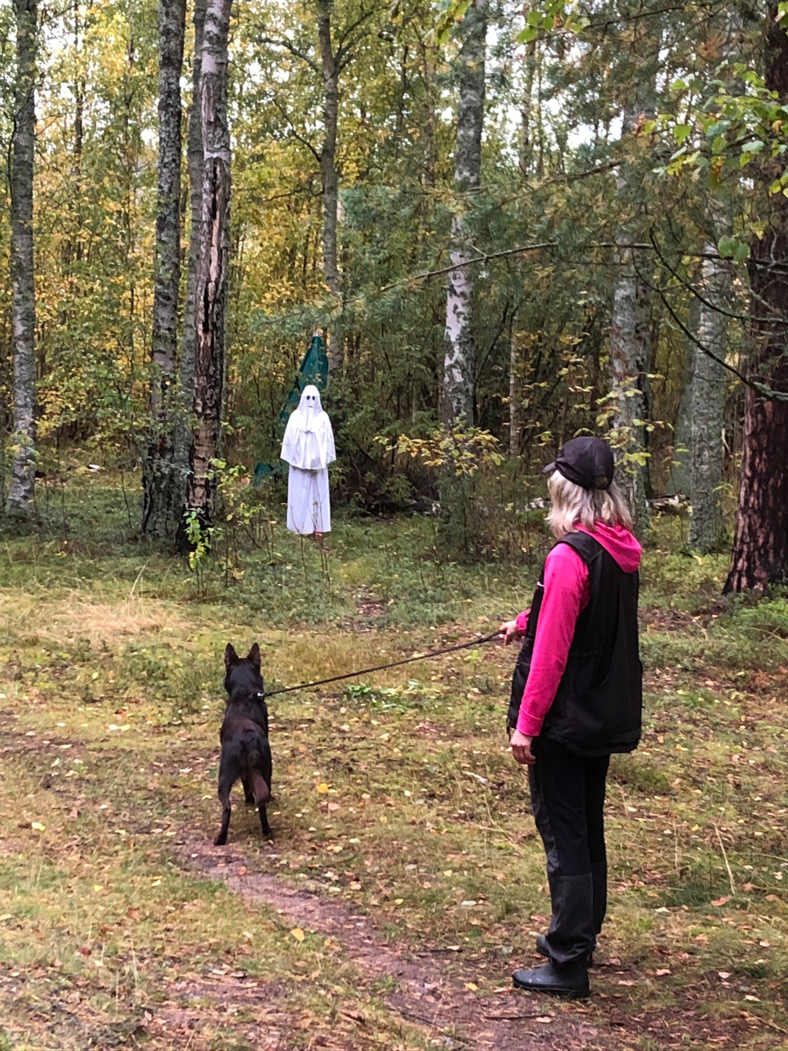 Kelpie tittar på spöke under mentalbeskrivning.