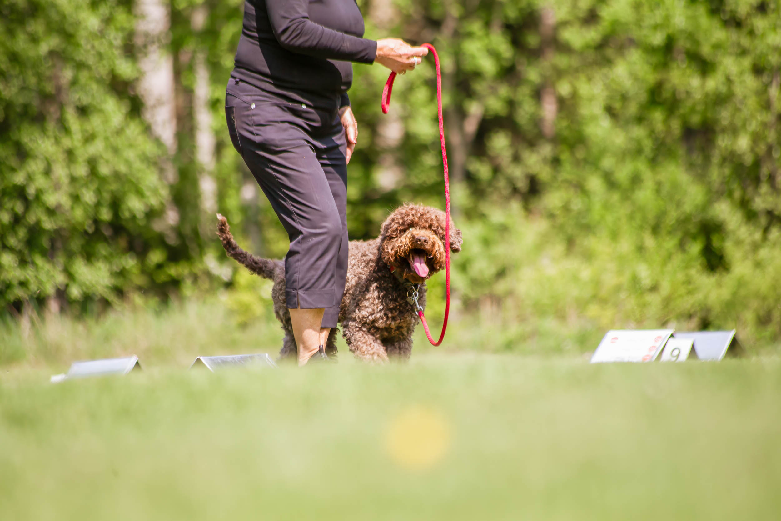 Ekipage kör rallylydnad