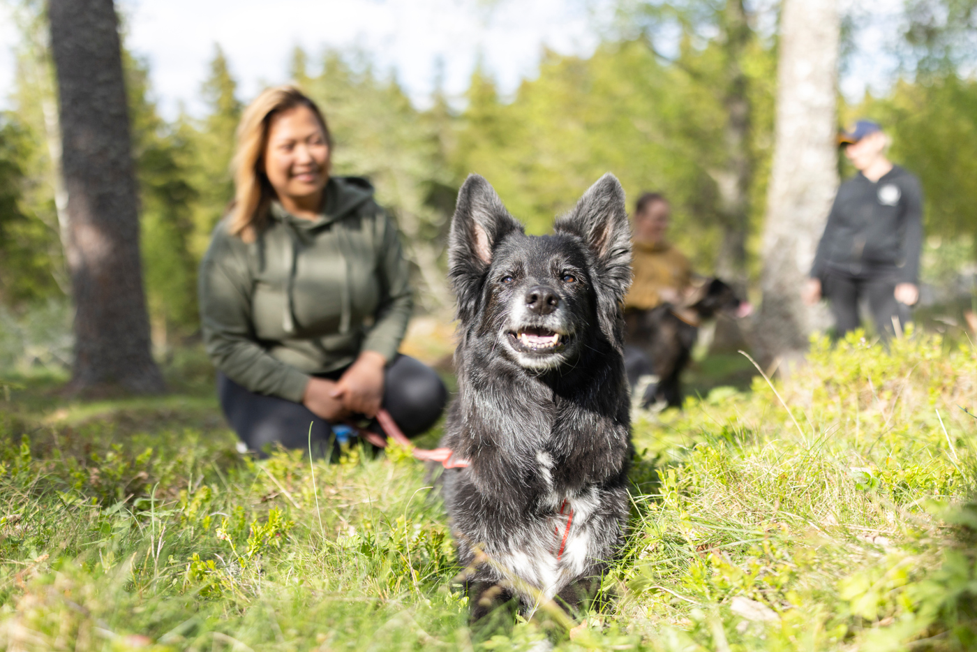 Hund som ligger ner i skogen och tittar in i kameran med sin matte i bakgrunden
