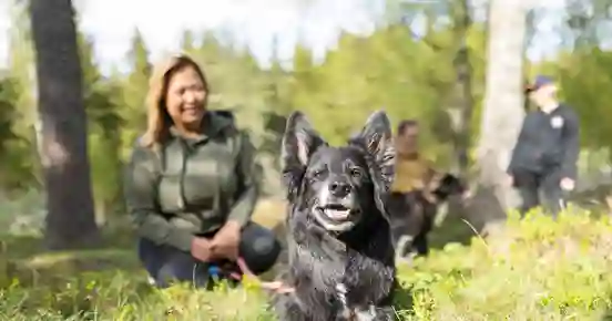 Hund som ligger ner i skogen och tittar in i kameran med sin matte i bakgrunden