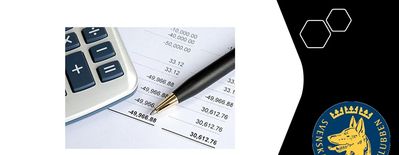 Revisorer - en bild med miniräknare, papper och penna