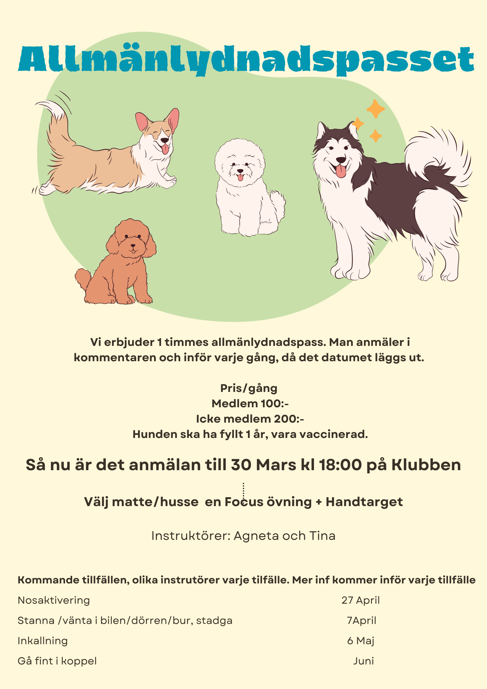 Allmänlydnadspasset