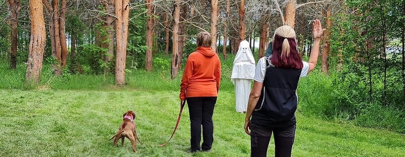 Bilden visar en ljusbrun hund som genomför ett MH (Mentalbeskrivning hund). En figurant som är utklädd mot spöke kommer gående mot ekipaget.