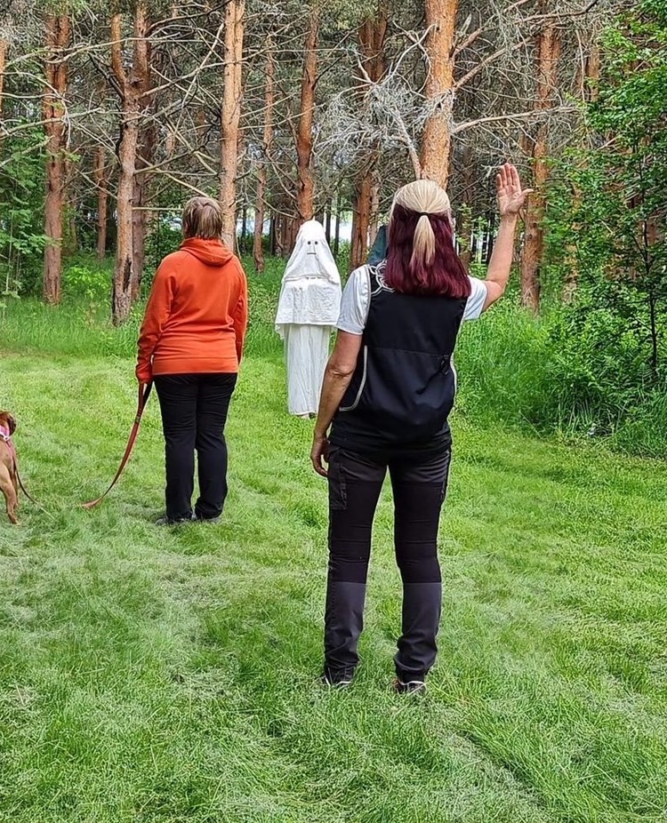 Bilden visar en ljusbrun hund som genomför ett MH (Mentalbeskrivning hund). En figurant som är utklädd mot spöke kommer gående mot ekipaget.