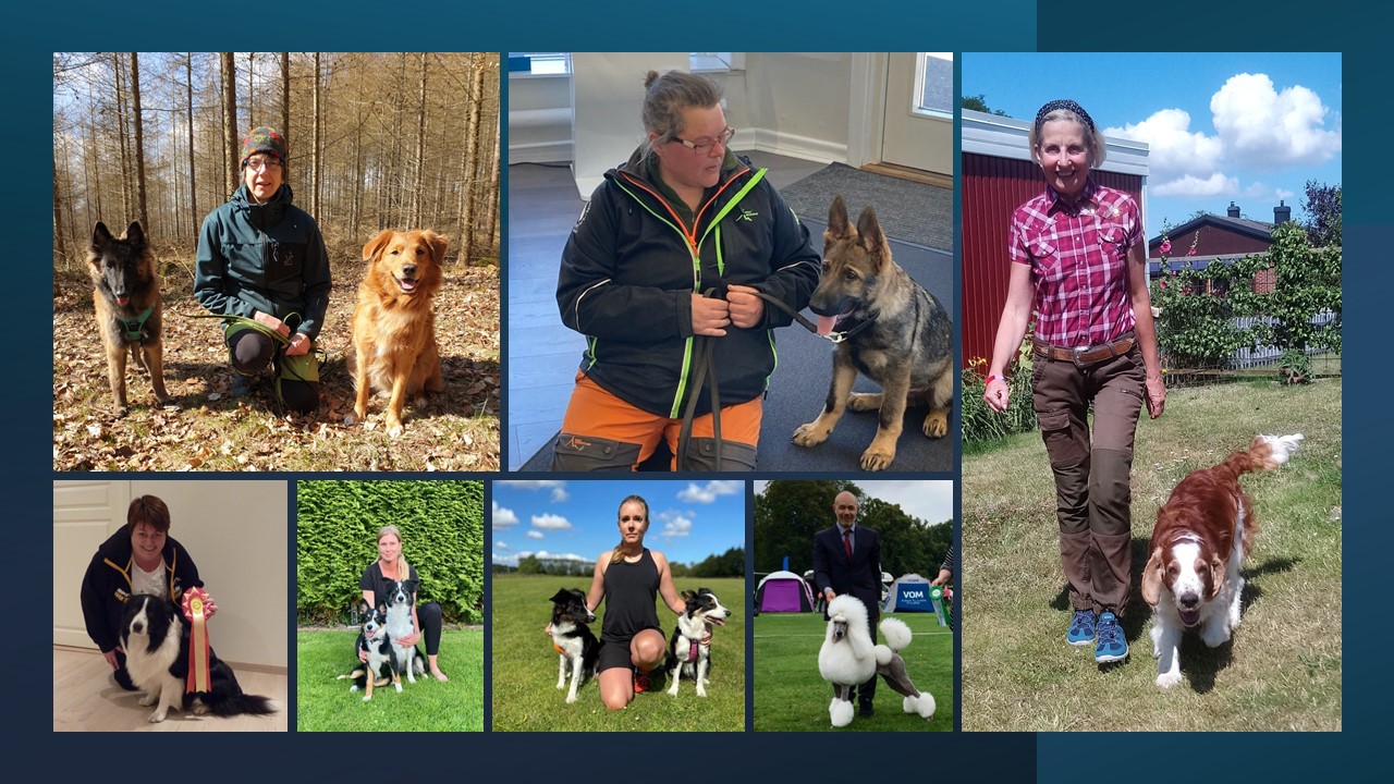 Våra instruktörer våren 2024