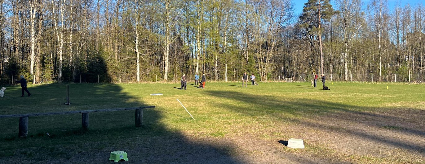 Tisdagsträning 2