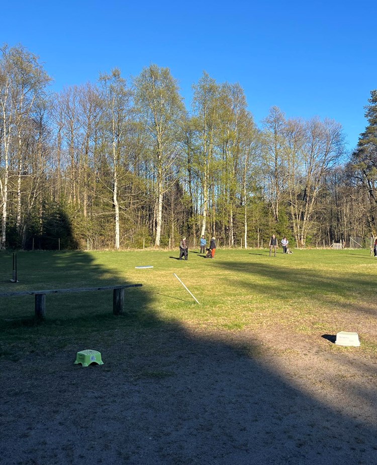 Tisdagsträning 2