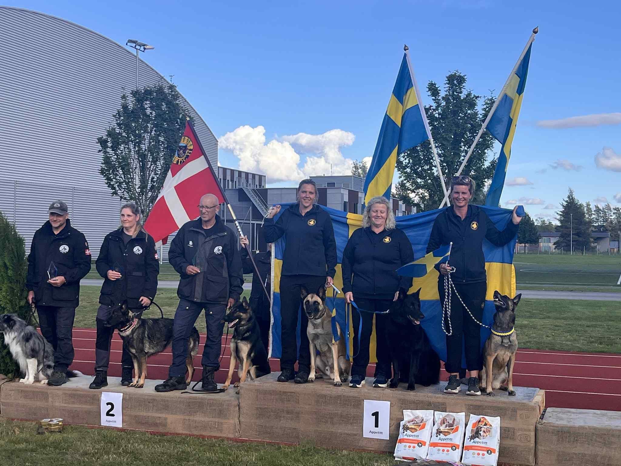 Bild från NM i bruks och IGP. Prispallen för skyddshundarna.