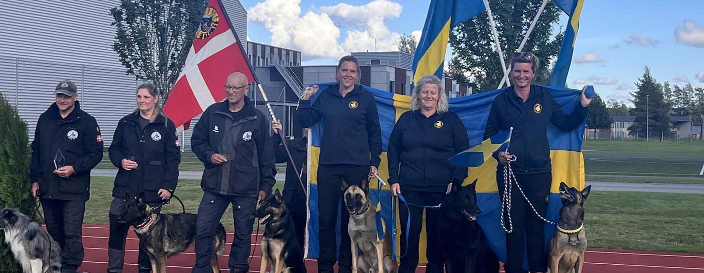 Bild från NM i bruks och IGP. Prispallen för skyddshundarna.