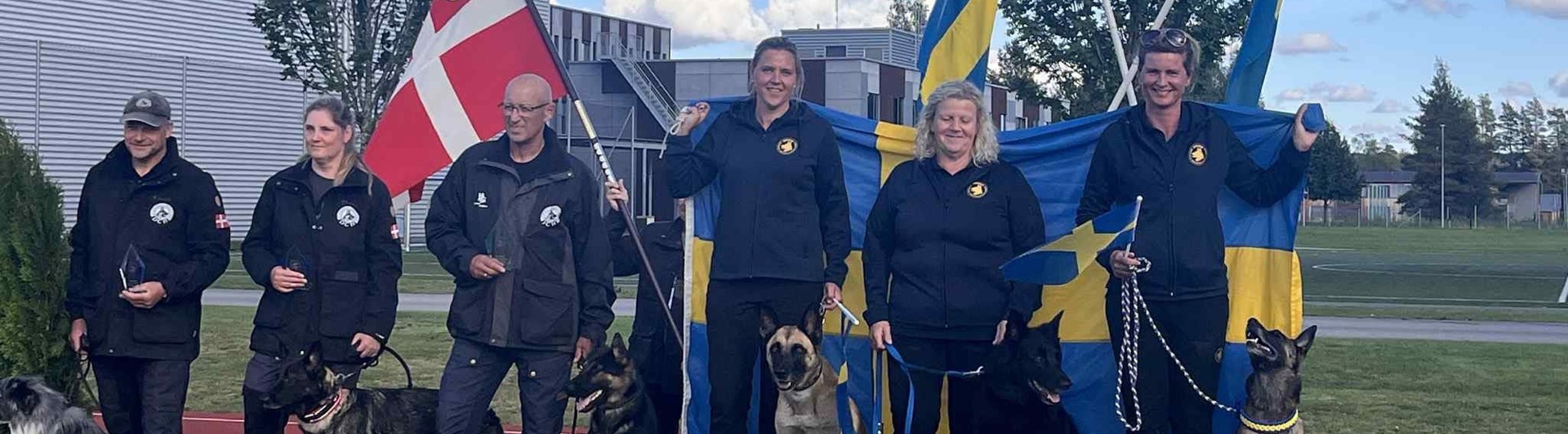 Bild från NM i bruks och IGP. Prispallen för skyddshundarna.