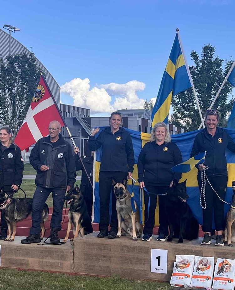 Bild från NM i bruks och IGP. Prispallen för skyddshundarna.