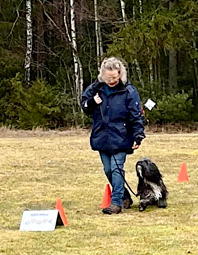 Kvinnlig hundförare med långhårig, liten, hund på rallylydnadsbana