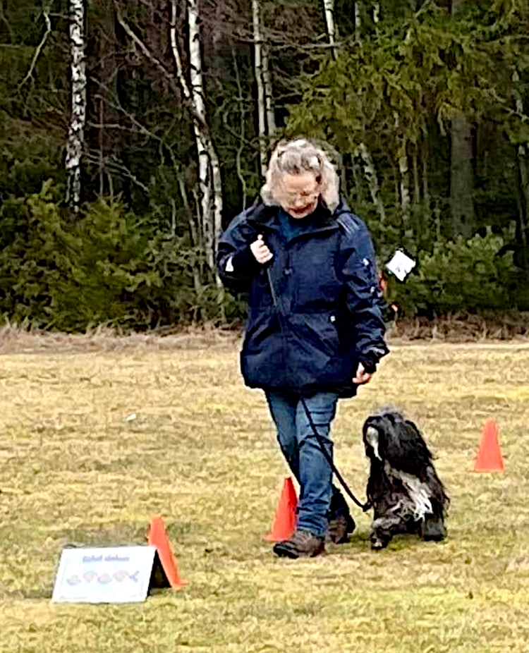 Kvinnlig hundförare med långhårig, liten, hund på rallylydnadsbana
