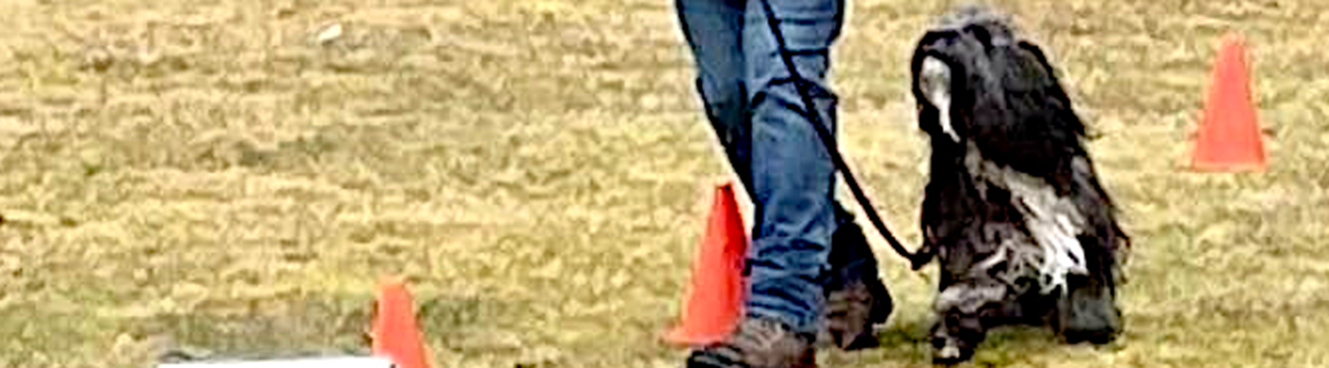 Kvinnlig hundförare med långhårig, liten, hund på rallylydnadsbana