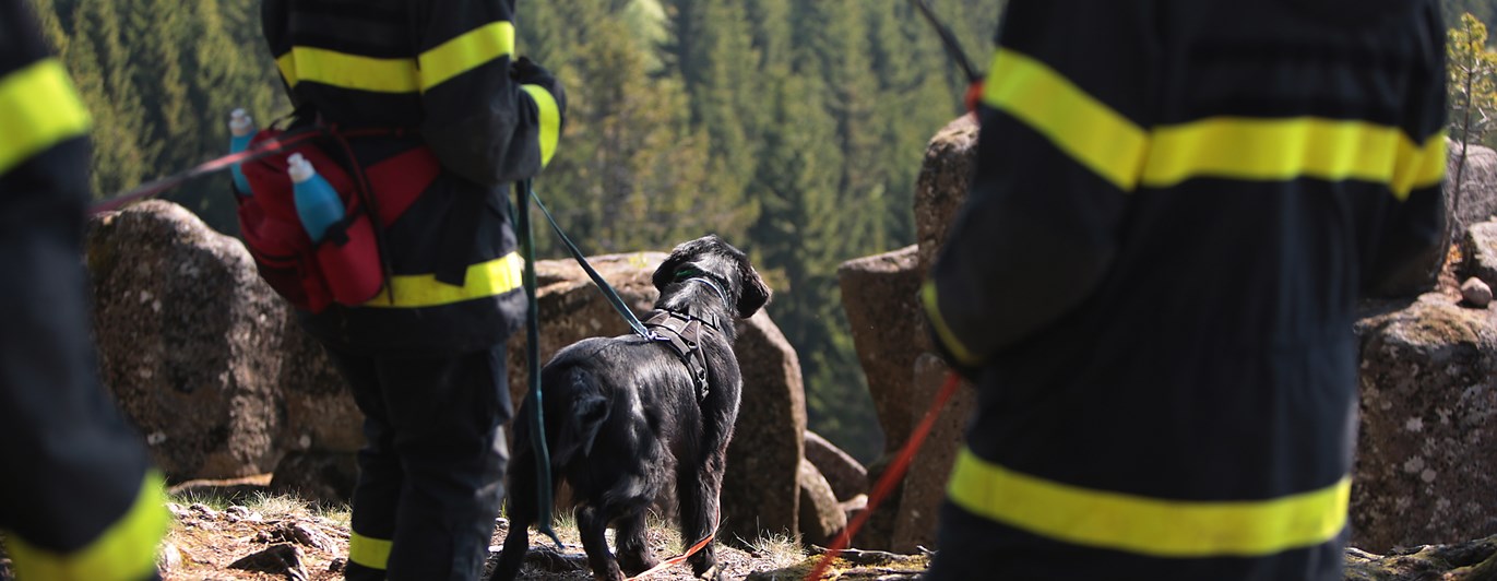 Fotograf: Christian Björses