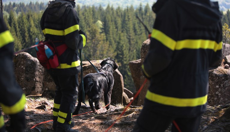 Fotograf: Christian Björses