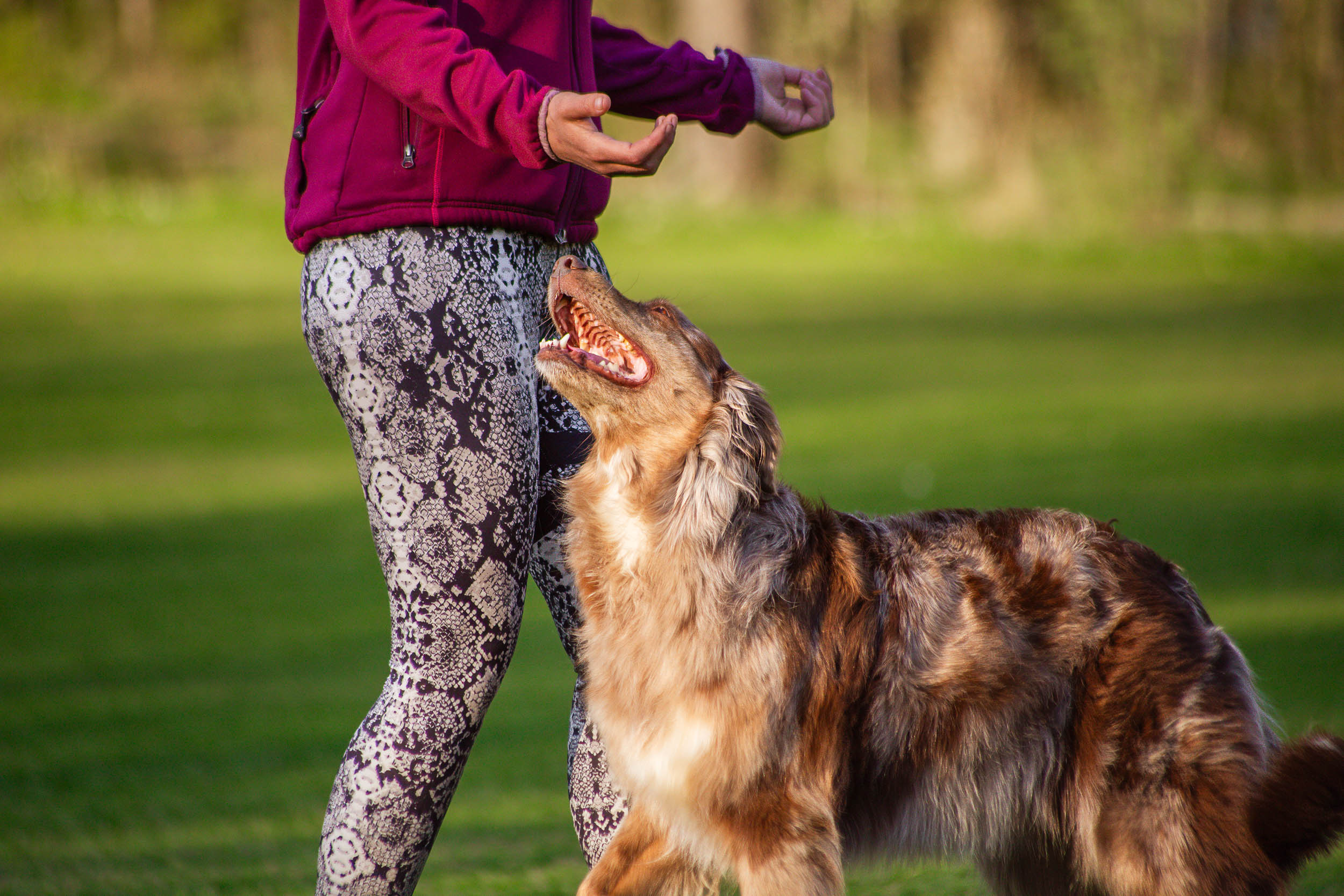 Ekipage kör freestyle