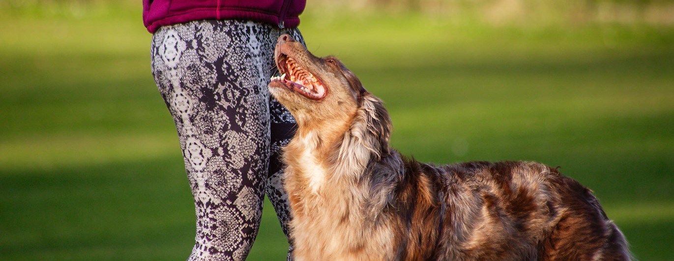 Ekipage kör freestyle