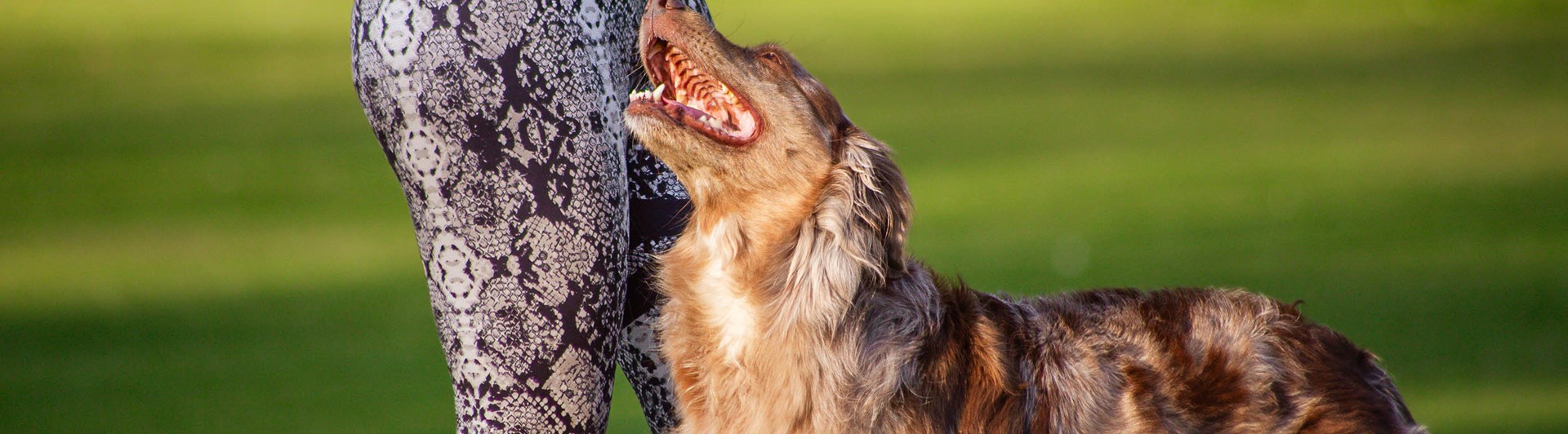 Ekipage kör freestyle