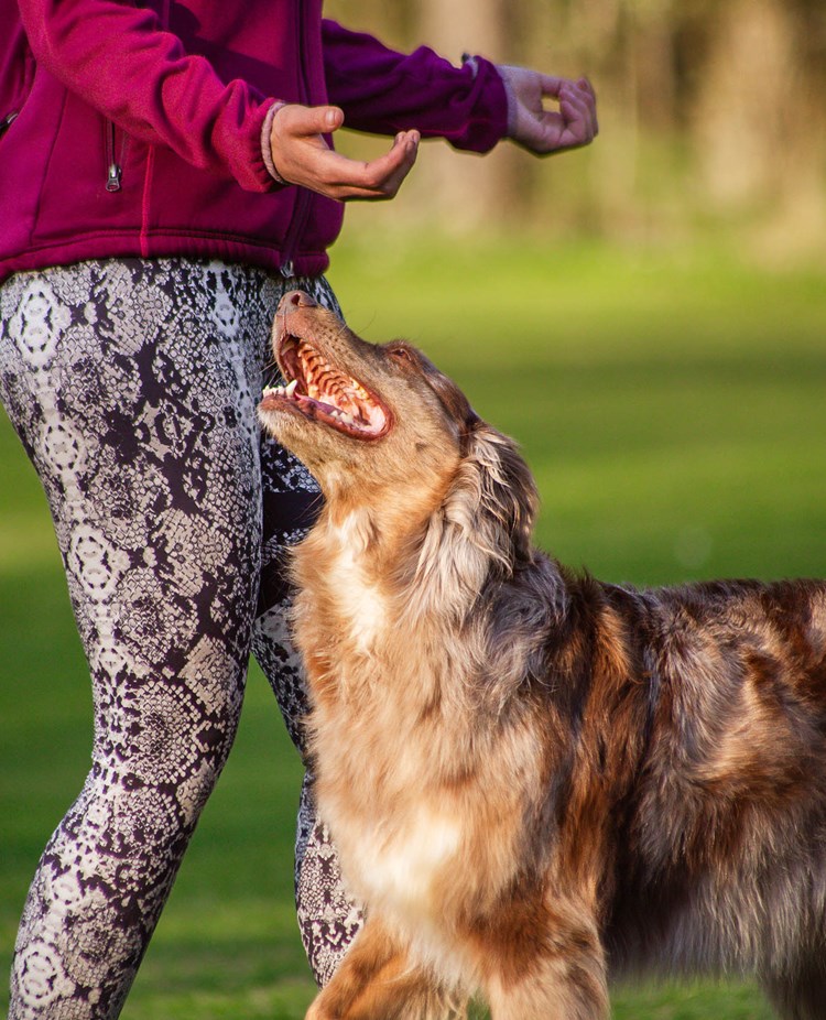 Ekipage kör freestyle