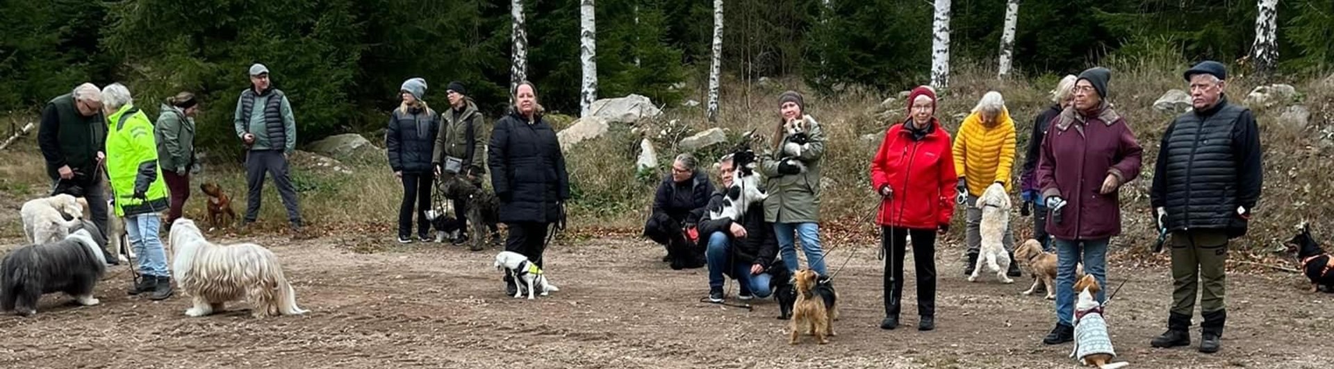 Många som är med på hundpromenad