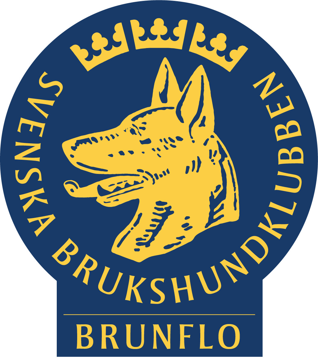 Logga Brunflo