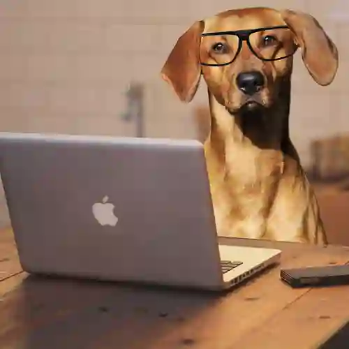 Hund vid dator