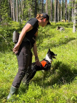 Tränar sök