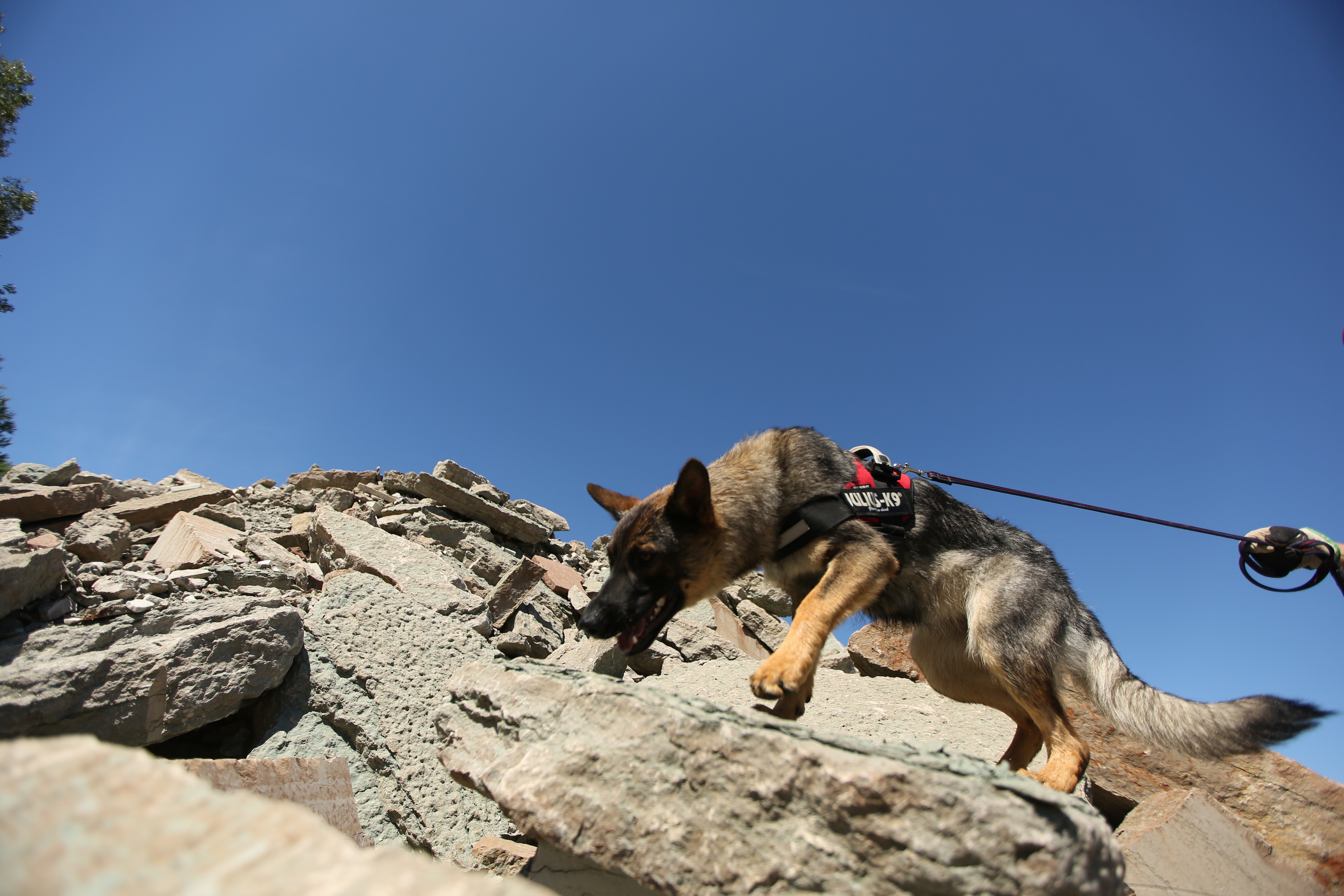 Fotograf: Christian Björses