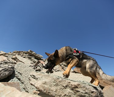 Fotograf: Christian Björses