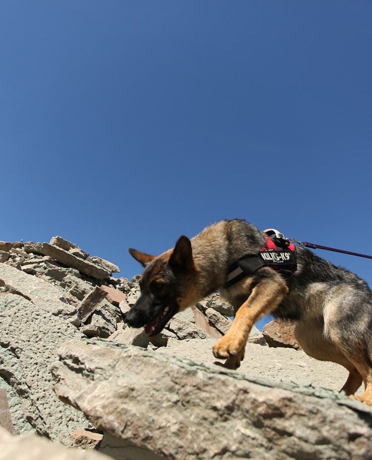 Fotograf: Christian Björses