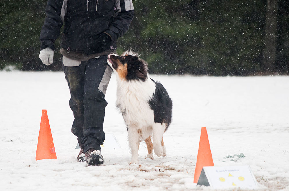 Fotgående med koner